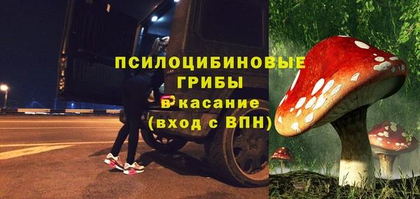 крисы Михайловск