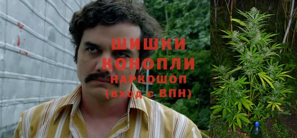 молекула духа Армянск