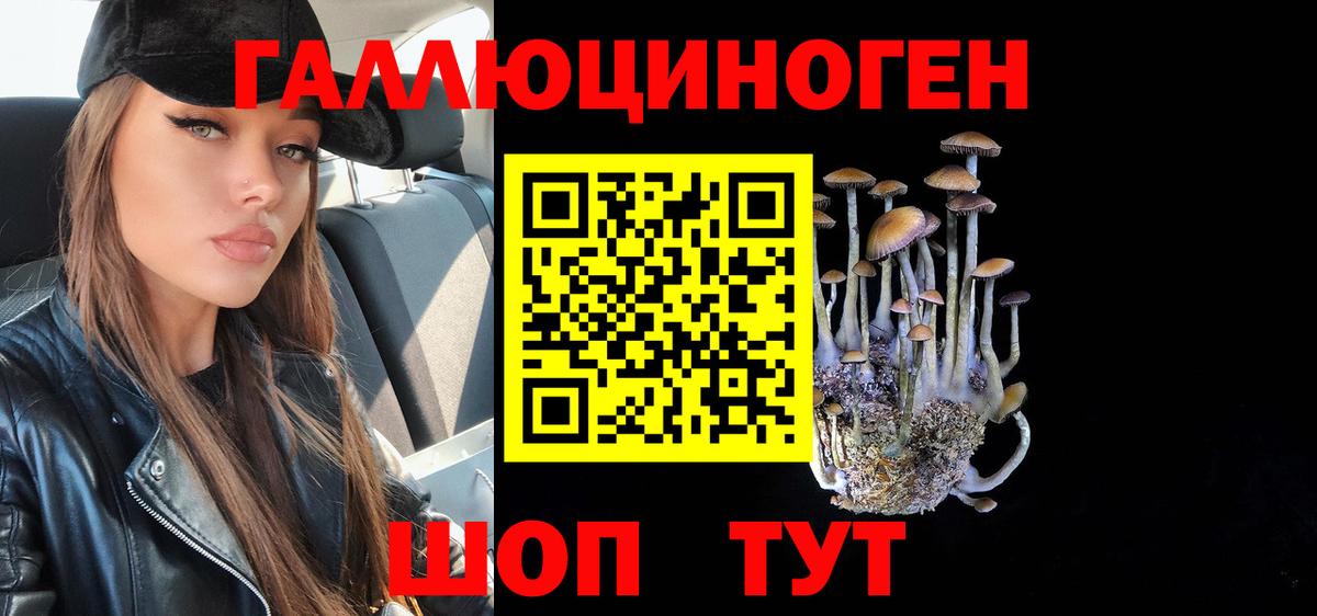 Майкоп  Псилоцибиновые грибы Cubensis  купить наркотики цена  Вход с VPN 