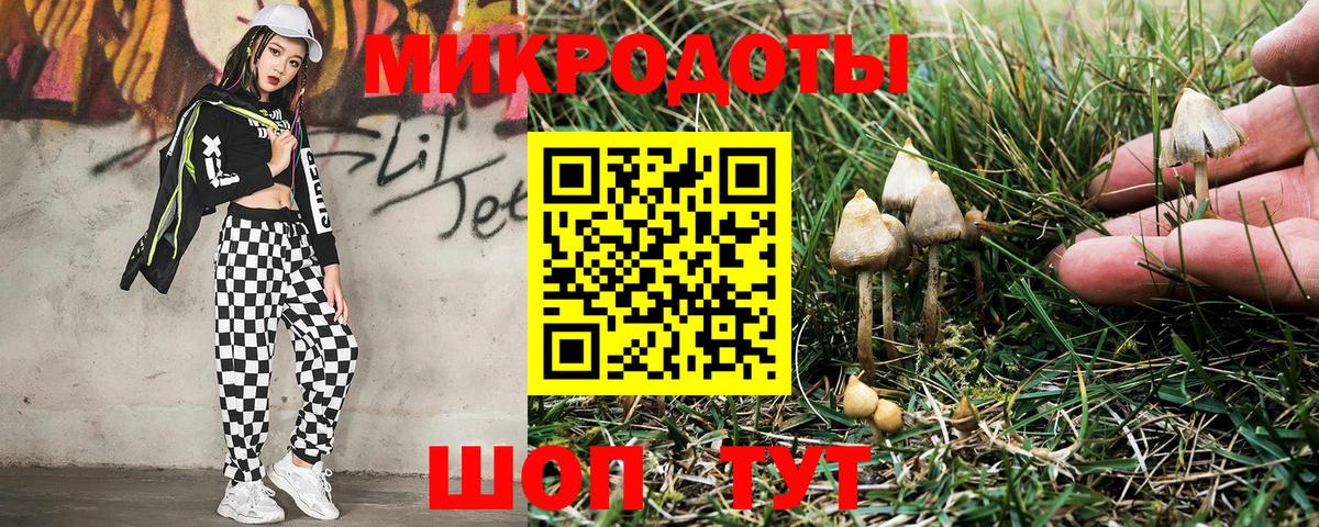 Галлюциногенные грибы Magic Shrooms Майкоп