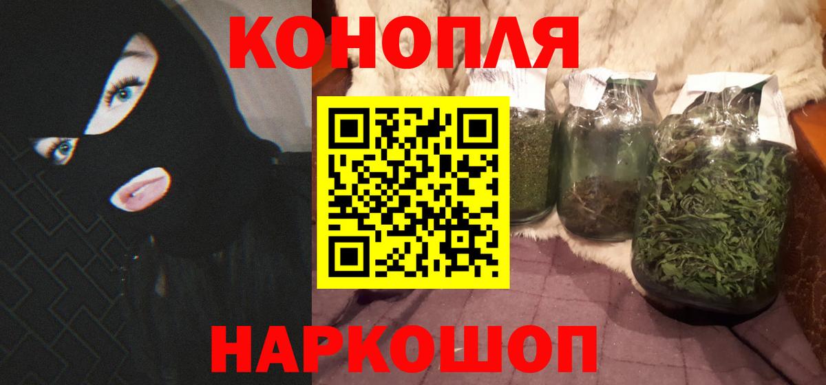 Бошки Шишки сатива Майкоп